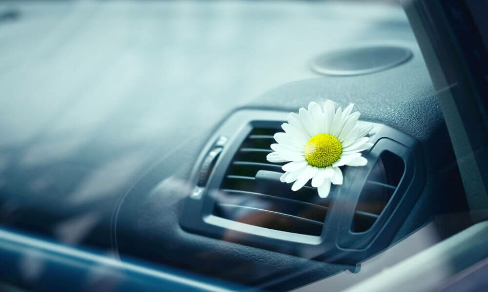 Wiosna, czyli idealny moment na dezynfekcję klimatyzacji samochodowej